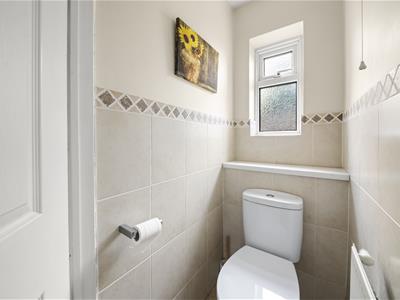 Picture 13